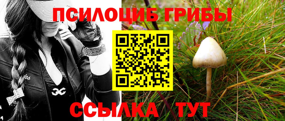 Галлюциногенные грибы мицелий Саров