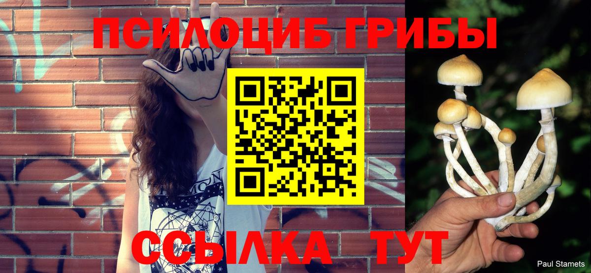 продажа наркотиков  Псилоцибиновые грибы MAGIC MUSHROOMS  Вход с VPN  Псилоцибиновые грибы Magic Shrooms  Саров 
